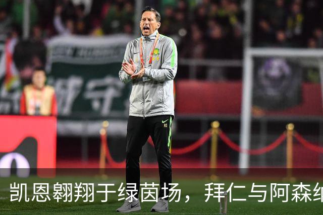 凯恩翱翔于绿茵场，拜仁与阿森纳的精彩对决